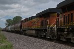 BNSF 7445 Roster shot